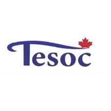 Tesoc Multicultural Settlement & Community Services