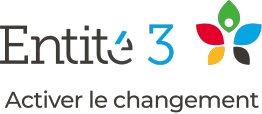 Entité 3